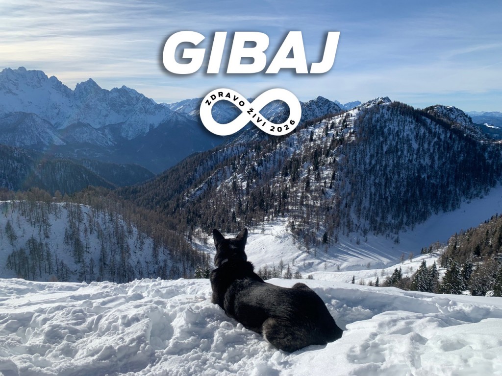 Gibaj_26_3