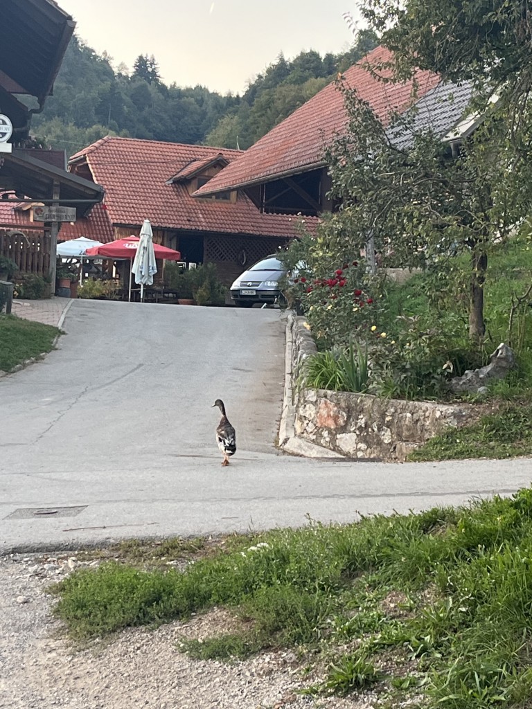 NH 28.9.4