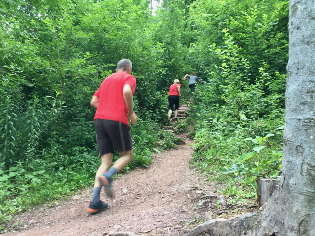 Vadba odrasli2 jun 2019